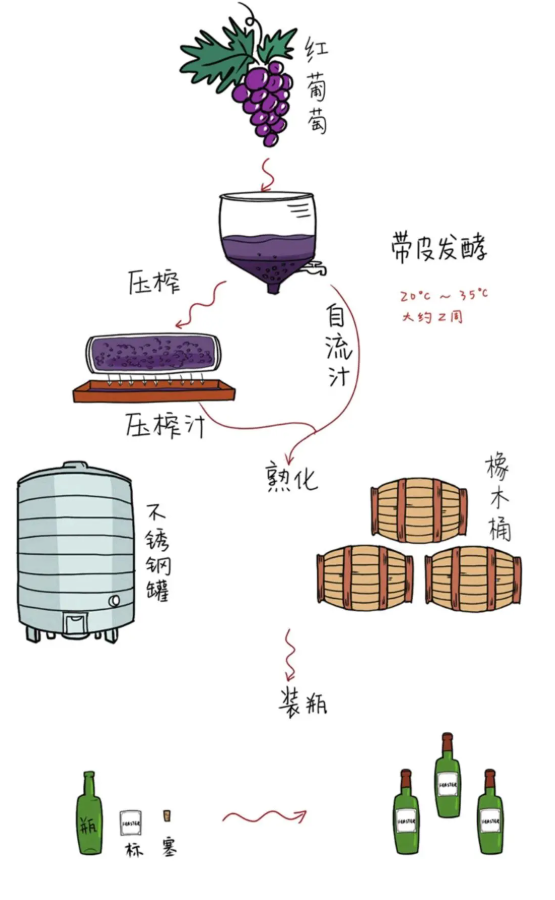 淄博紅酒加盟 | 紅葡萄酒與白葡萄酒都有哪些區(qū)別