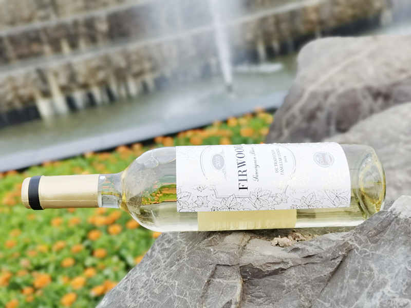 淄博紅酒加盟 | 紅葡萄酒與白葡萄酒都有哪些區(qū)別