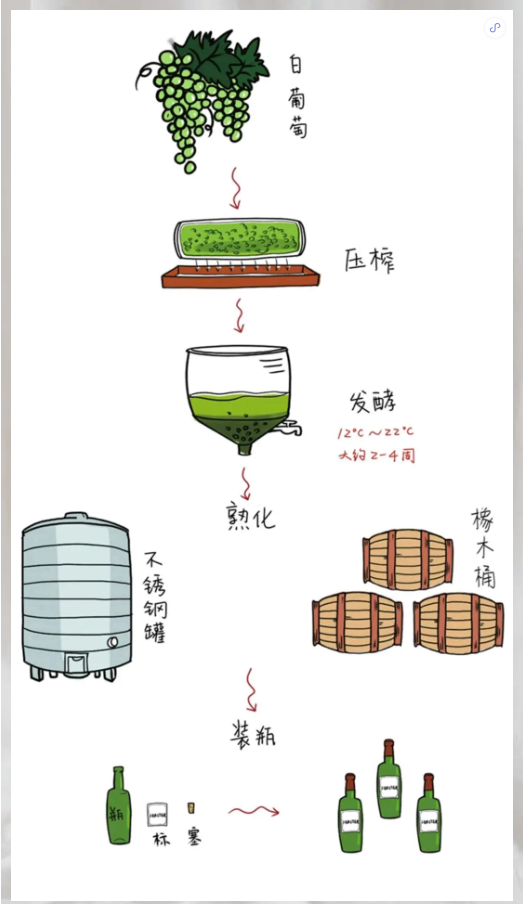 淄博紅酒加盟 | 紅葡萄酒與白葡萄酒都有哪些區(qū)別