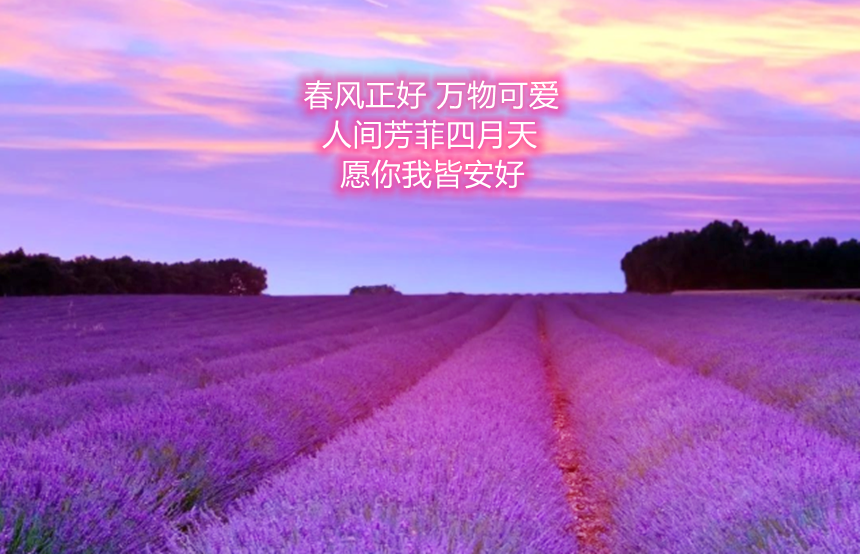 樅木國際酒莊 | 四月，你好！愿人生所向皆是美好
